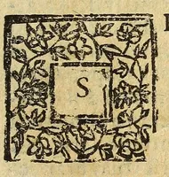 An illustration from Historia della città e regno di Napoli (1675)