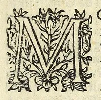 An illustration from Historia della città e regno di Napoli (1675)
