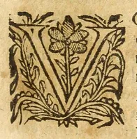 An illustration from Historia della città e regno di Napoli (1675)
