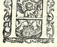Picture 12 of 21 from Historia della guerra fra Turchi, et Persiani (1594), leaf 118