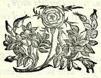 Picture 5 of 21 from Historia della guerra fra Turchi, et Persiani (1594), leaf 15