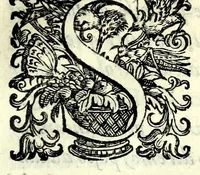 An illustration from Historia della guerra fra Turchi, et Persiani (1594)
