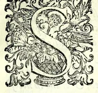 An illustration from Historia della guerra fra Turchi, et Persiani (1594)