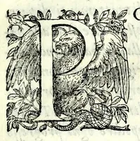 An illustration from Historia della guerra fra Turchi, et Persiani (1594)