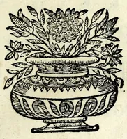 An illustration from Historia della Madonna santissima d'Oroppa : ne' monti della citta di Biella nel Piemonte : diuisa in libri trè .. (1659)