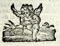 An illustration from Historia della Madonna santissima d'Oroppa : ne' monti della citta di Biella nel Piemonte : diuisa in libri trè .. (1659)