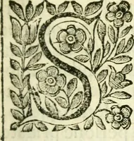 An illustration from Historia della republica Veneta (1663)