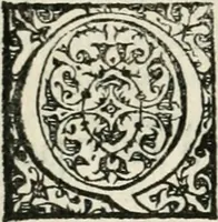 An illustration from Historia della vita, et fatti dell' eccellentissimo capitano di gverra Bartolomeo Coglione (1569)