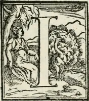 An illustration from Historia della vita, et fatti dell' eccellentissimo capitano di gverra Bartolomeo Coglione (1569)