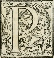 An illustration from Historia della vita, et fatti dell' eccellentissimo capitano di gverra Bartolomeo Coglione (1569)