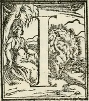 An illustration from Historia della vita, et fatti dell' eccellentissimo capitano di gverra Bartolomeo Coglione (1569)
