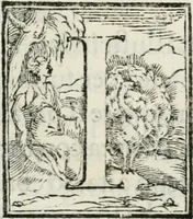An illustration from Historia della vita, et fatti dell' eccellentissimo capitano di gverra Bartolomeo Coglione (1569)