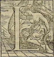 An illustration from Historia delle cose di Francia, (1549)