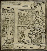 An illustration from Historia delle cose di Francia, (1549)