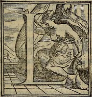 An illustration from Historia delle cose di Francia, (1549)