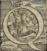 An illustration from Historia delle cose di Francia, (1549)