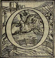 An illustration from Historia delle cose di Francia, (1549)