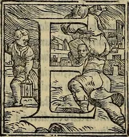 An illustration from Historia delle cose di Francia, (1549)