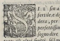 An illustration from Historia dell' India America detta altramente Francia Antartica, (1584)