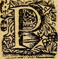 An illustration from Historia de los Vandos, de los Zegries, y Abencerrages cavalleros Moros de Granada, de las cmiles guerras que vuo en ella, y batallas particulares que vuo en la Vega entre Moros y Christianos, hasta que el Rey Don Fernando Quinto la ganó : Agora nvevamente sacada de un libro Arauigo, cuyo autor de vista fue un Moro llamado Aben Hamin ... (1690)