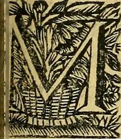 An illustration from Historia de los Vandos, de los Zegries, y Abencerrages cavalleros Moros de Granada, de las cmiles guerras que vuo en ella, y batallas particulares que vuo en la Vega entre Moros y Christianos, hasta que el Rey Don Fernando Quinto la ganó : Agora nvevamente sacada de un libro Arauigo, cuyo autor de vista fue un Moro llamado Aben Hamin ... (1690)