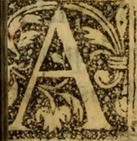 An illustration from Historia de los Vandos, de los Zegries, y Abencerrages cavalleros Moros de Granada, de las cmiles guerras que vuo en ella, y batallas particulares que vuo en la Vega entre Moros y Christianos, hasta que el Rey Don Fernando Quinto la ganó : Agora nvevamente sacada de un libro Arauigo, cuyo autor de vista fue un Moro llamado Aben Hamin ... (1610)