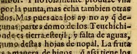An illustration from Historia de Mexico, : con el descubrimiento de la Nueua España, conquistada por el muy illustre y valeroso principe don Fernando Cortes ... (1554)