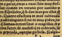An illustration from Historia de Mexico, : con el descubrimiento de la Nueua España, conquistada por el muy illustre y valeroso principe don Fernando Cortes ... (1554)