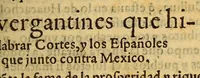 Picture 7 of 14 from Historia de Mexico, : con el descubrimiento de la Nueua España, conquistada por el muy illustre y valeroso principe don Fernando Cortes ... (1554), leaf 351