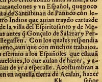An illustration from Historia de Mexico, : con el descubrimiento de la Nueua España, conquistada por el muy illustre y valeroso principe don Fernando Cortes ... (1554)