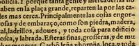 An illustration from Historia de Mexico, : con el descubrimiento dela Nueua España, conquistada por el muy illustre y valeroso principe don Fernando Cortes, ... (1554)