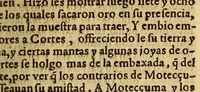 An illustration from Historia de Mexico, : con el descubrimiento dela Nueua España, conquistada por el muy illustre y valeroso principe don Fernando Cortes, ... (1554)