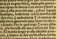 An illustration from Historia de Mexico, : con el descubrimiento dela Nueua España, conquistada por el muy illustre y valeroso principe don Fernando Cortes, ... (1554)
