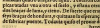 An illustration from Historia de Mexico, : con el descubrimiento dela Nueua España, conquistada por el muy illustre y valeroso principe don Fernando Cortes, ... (1554)