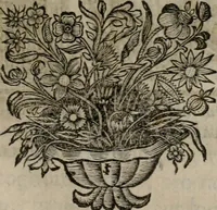 An illustration from Historia deorum fatidicorum, vatum, sibyllarum, phoebadum, apud priscos illustrium : cum eorum iconibus : præposita est dissertatio de divinatione et oraculis (1675)