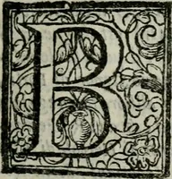 An illustration from Historia de' Rossi parmigiani (1583)