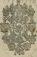 An illustration from Historia de' Rossi parmigiani (1583)