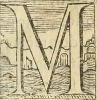 An illustration from Historia de Sevilla, en la qval se contienen svs antigvedades, grandezas, y cosas memorables en ella acontecidas, desde su fundacion hasta nuestros tiempos .. (1586)