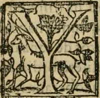 An illustration from Historia de Sevilla, en la qval se contienen svs antigvedades, grandezas, y cosas memorables en ella acontecidas, desde su fundacion hasta nuestros tiempos .. (1586)