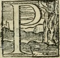 An illustration from Historia de Sevilla, en la qval se contienen svs antigvedades, grandezas, y cosas memorables en ella acontecidas, desde su fundacion hasta nuestros tiempos .. (1586)