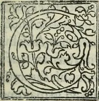 An illustration from Historia de uita et gestis Scanderbegi Epirotarum principis (1508)