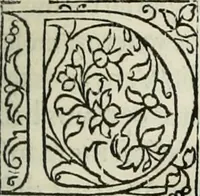An illustration from Historia de uita et gestis Scanderbegi Epirotarum principis (1508)
