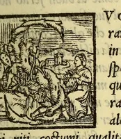 An illustration from Historia di don Ferdinando Cortes, e marchese della Valle, capitan valorosissimo, con le sue maravigliose prodezze nel tempo, che discopri, & acquisto la Nuoua Spagna. Parte terza. (1560)