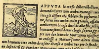 An illustration from Historia di Mexico, et quando si discoperse la nuoua Hispagne, conquistata per illustriss. et ualoroso principe. don Ferdinando Cortese marchese del Valle. (1556)