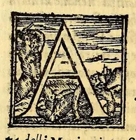 An illustration from Historia di Mexico, et quando si discoperse la nuoua Hispagne, conquistata per illustriss. et ualoroso principe. don Ferdinando Cortese marchese del Valle. (1556)