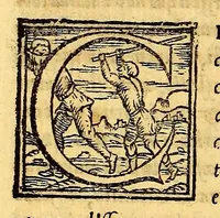 An illustration from Historia di Mexico, et quando si discoperse la nuoua Hispagne, conquistata per illustriss. et ualoroso principe. don Ferdinando Cortese marchese del Valle. (1556)