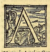 Picture 19 of 20 from Historia di Mexico, et quando si discoperse la nuoua Hispagne, conquistata per illustriss. et ualoroso principe. don Ferdinando Cortese marchese del Valle. (1556), leaf 384