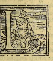 An illustration from Historia di Mexico, et quando si discoperse la nuoua Hispagne, conquistata per illustriss. et ualoroso principe. don Ferdinando Cortese marchese del Valle. (1556)