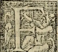 An illustration from Historia do bemauenturado Sam Ioão de Sahagum, patrão Salamantino, primeyra[-segunda] parte (1609)