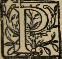 An illustration from Historia do bemauenturado Sam Ioão de Sahagum, patrão Salamantino, primeyra[-segunda] parte (1609)